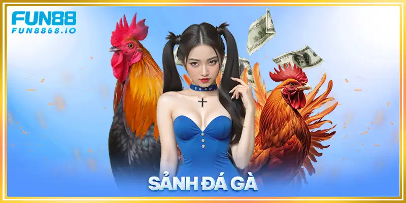 Sảnh đá gà fun88 hot 2024